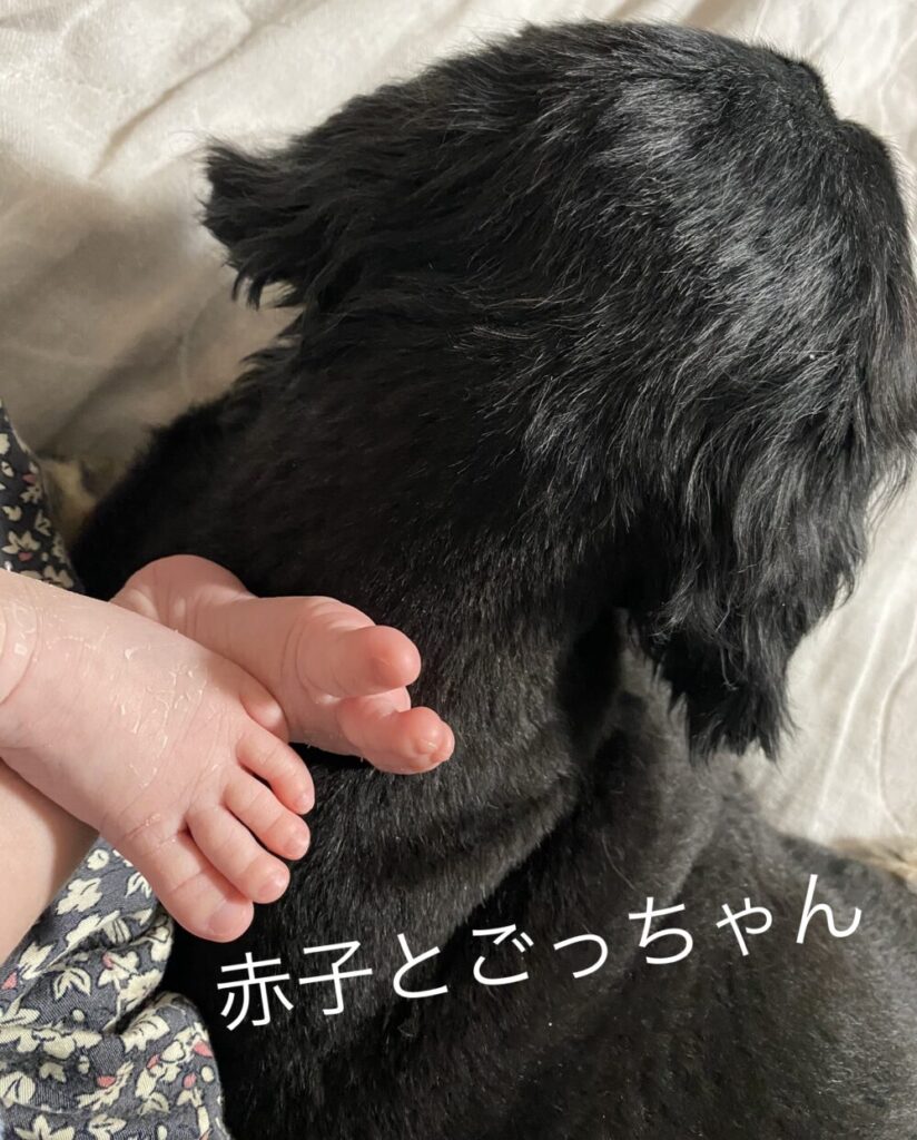 赤子とごっちゃん